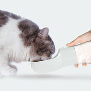 Portable Water Dispenser