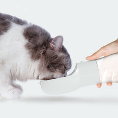 Portable Water Dispenser