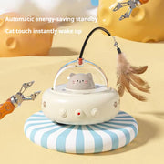 CAT Teasing Toys