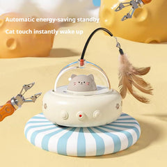 CAT Teasing Toys