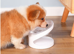 Food Bowl