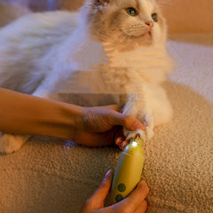 Electric Nail Grinder