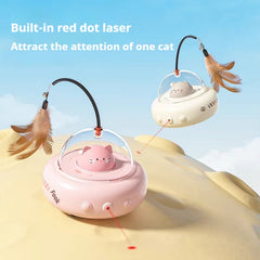 CAT Teasing Toys