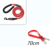 Nylon Dog Leash