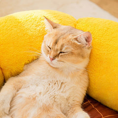 Nest Mat