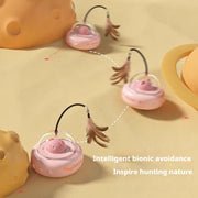 CAT Teasing Toys